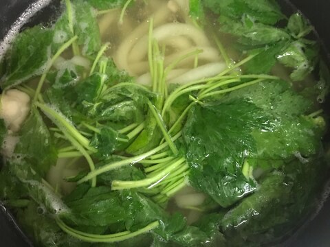 鶏と三つ葉の生姜うどん